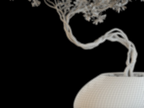 Plants collection 642 3D Model