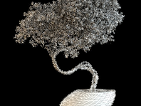 Plants collection 642 3D Model
