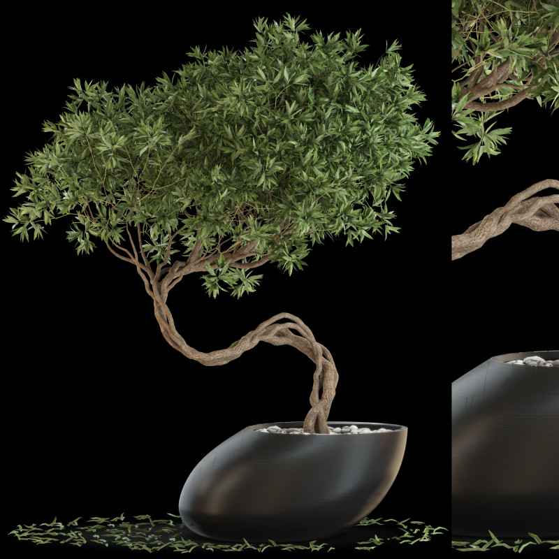 Plants collection 642 3D Model .c4d .max .obj .3ds .fbx .stl .blend