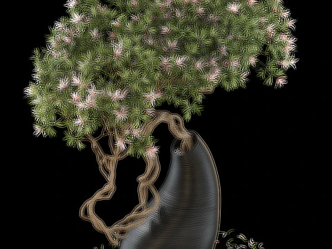 Plants collection 643 3D Model
