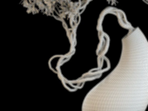 Plants collection 643 3D Model