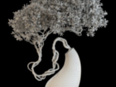 Plants collection 643 Model 3D
