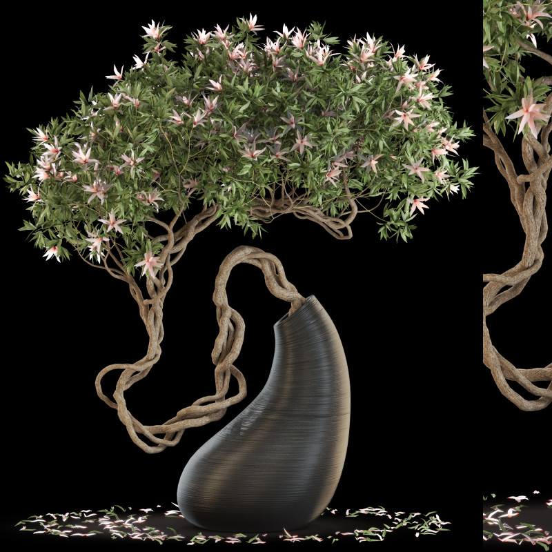 Plants collection 643 Model 3D .c4d .max .obj .3ds .fbx .stl .blend