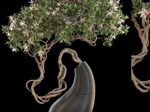 पौधों का संग्रह 643 3D मॉडल