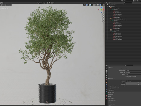 Plants collection 644 3D Model