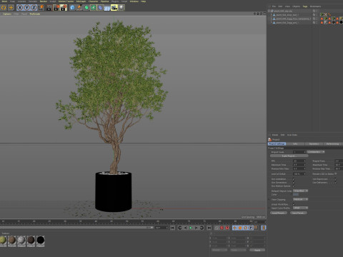 Plants collection 644 3D Model