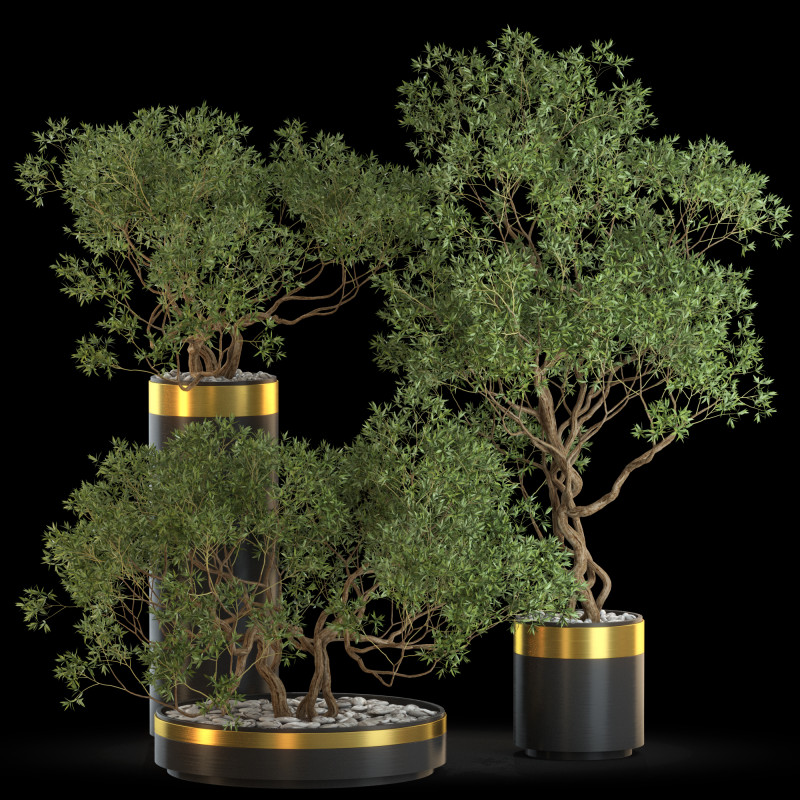 Plants collection 645 3D मॉडल .c4d .max .obj .3ds .fbx .stl .blend 
