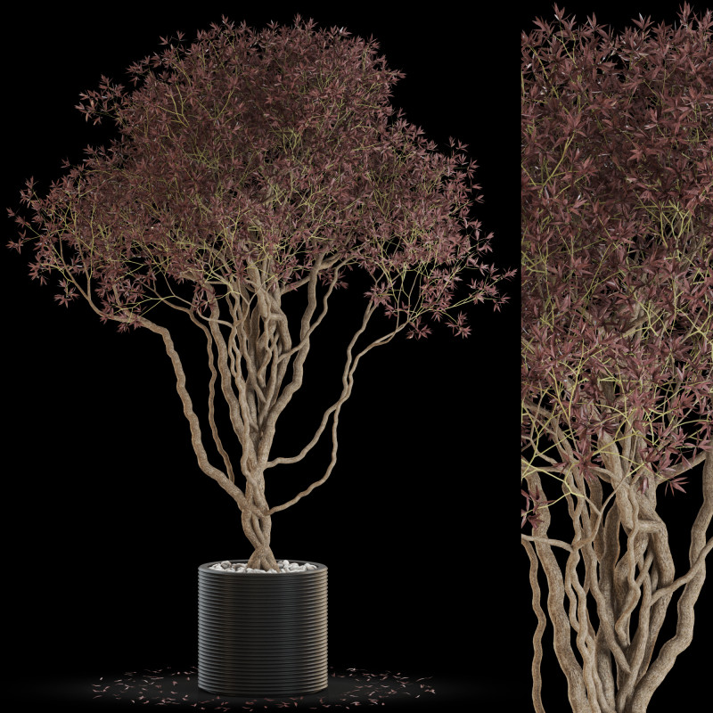 Plants collection 646 3D 模型 .c4d .max .obj .3ds .fbx .stl .blend