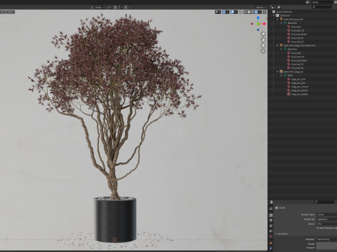 Plants collection 646 3D 模型