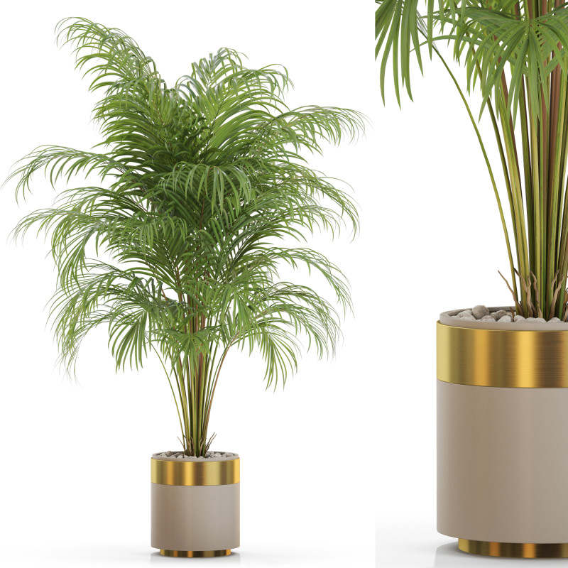 Plants collection 647 3D Modell .c4d .max .obj .3ds .fbx .stl .blend