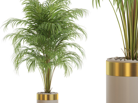 Plants collection 647 3D-Modell