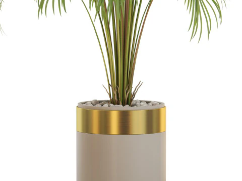 Plants collection 647 3D Model