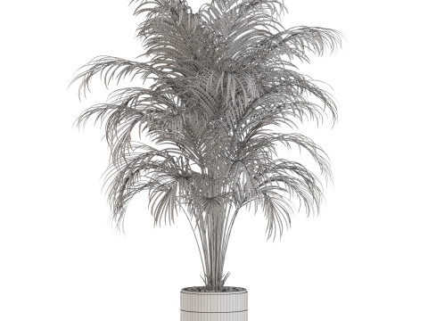 Plants collection 647 3D Modell