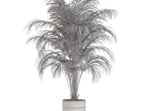 Plants collection 647 3D Model