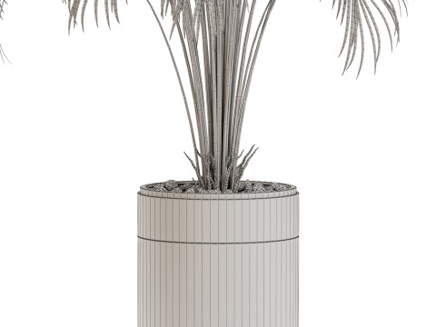 Plants collection 647 3D Modell