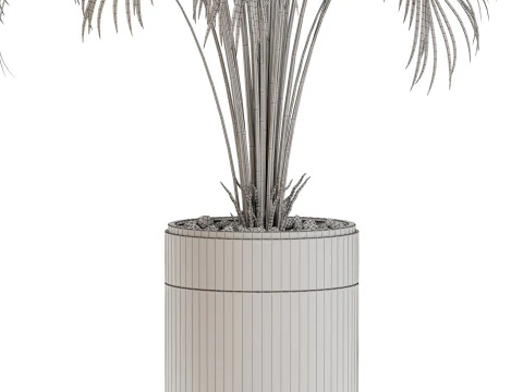 Plants collection 647 3D Model