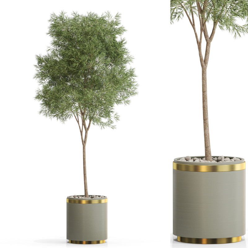 Plants collection 648 3D 模型 .c4d .max .obj .3ds .fbx .stl .blend