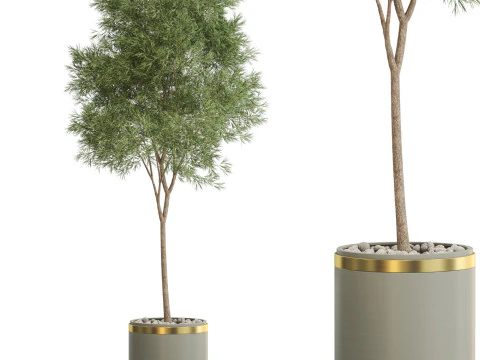 Plantencollectie 648 3D Model