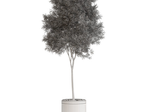 Plants collection 648 3D Model