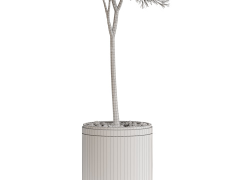 Plants collection 648 3D Model