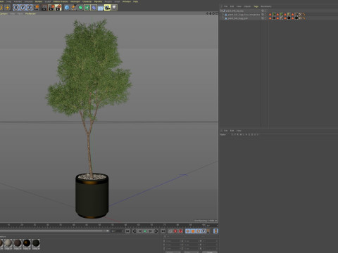 Plants collection 648 3D Model