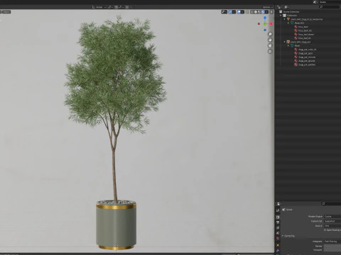 Plants collection 648 3D Model
