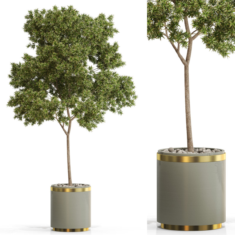 Plants collection 649 3D Model .c4d .max .obj .3ds .fbx .stl .blend 