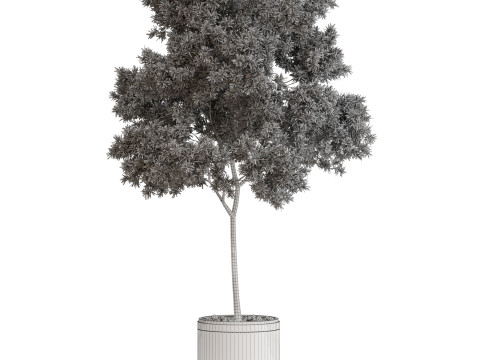 Plants collection 649 3D Model
