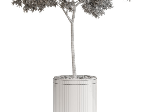 Plants collection 649 3D Model