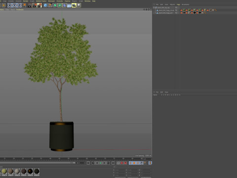 Plants collection 649 3D Model