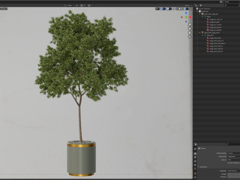 Plants collection 649 3D Model