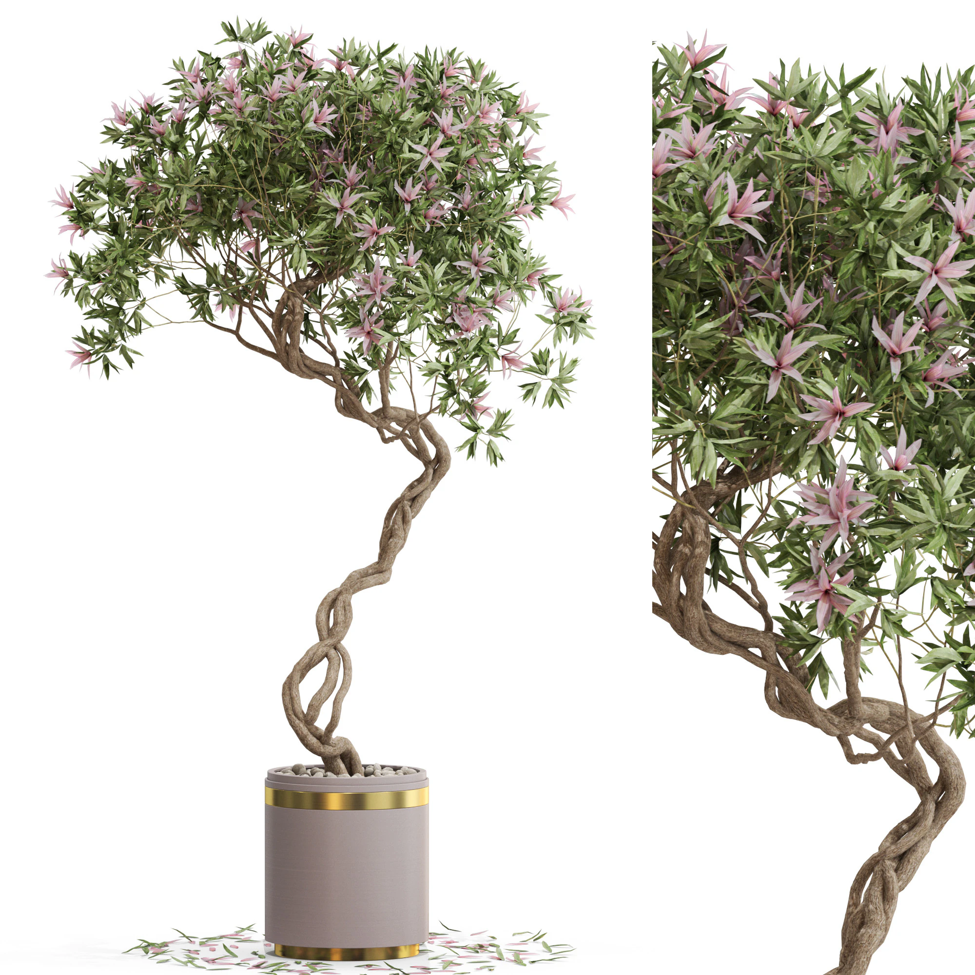 Plants collection 650 3D Model .c4d .max .obj .3ds .fbx .stl .blend
