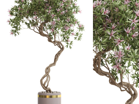 Plants collection 650 3D 모델