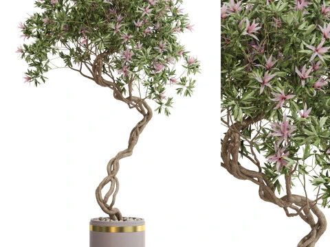 Plantencollectie 650 3D Model