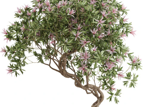 Plants collection 650 3D Model