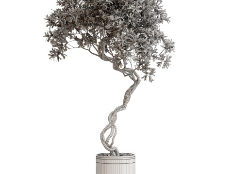 Plants collection 650 3D 模型
