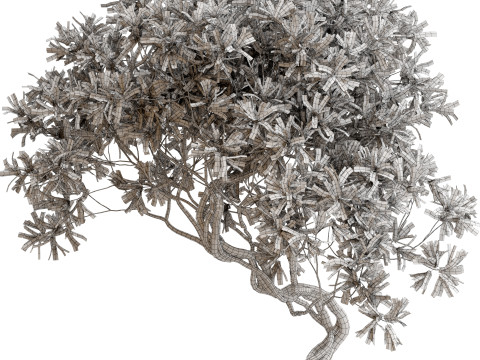 Plants collection 650 3D 模型