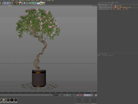 Plants collection 650 3D Model