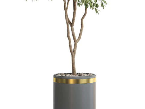 Plants collection 651 3D Model
