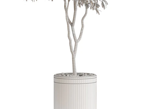 Plants collection 651 3D Model