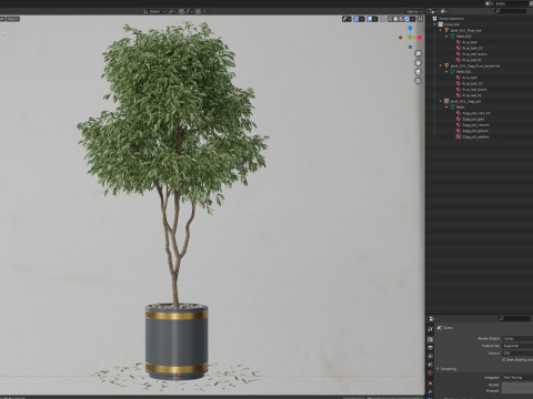Plants collection 651 3D 模型