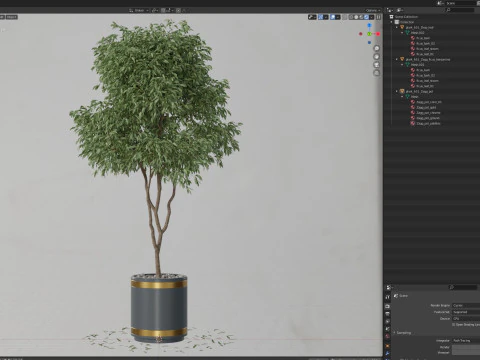 Plants collection 651 3D Model