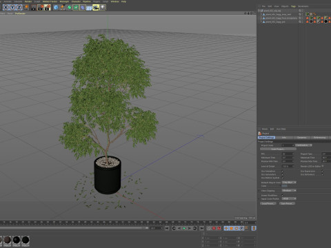 Plants collection 652 3D 模型