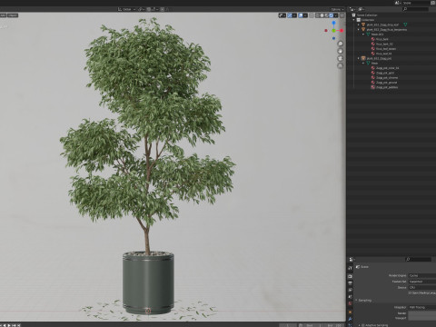 Plants collection 652 3D 模型