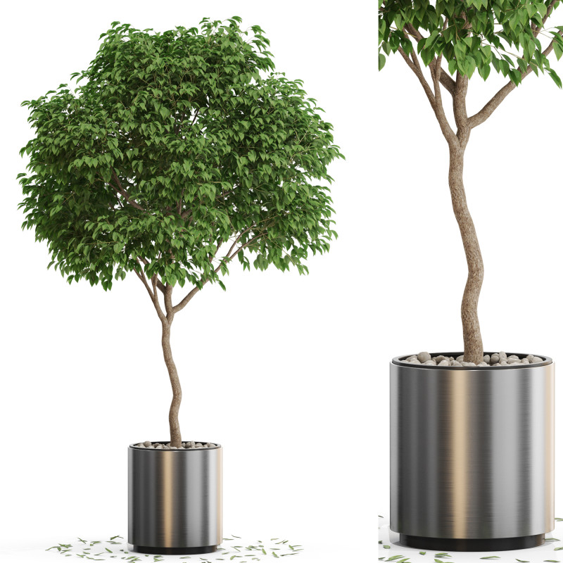 Plants collection 653 3D 모델 .c4d .max .obj .3ds .fbx .stl .blend 
