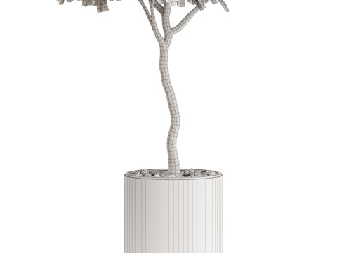 Plants collection 653 3D 모델