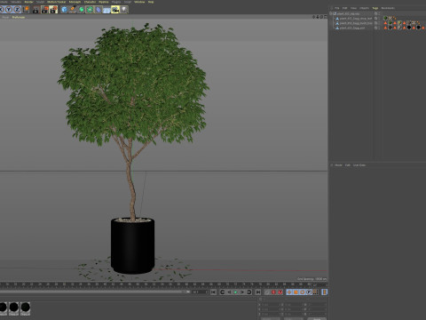 Plants collection 653 3D 모델