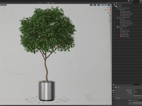 Plants collection 653 3D 모델
