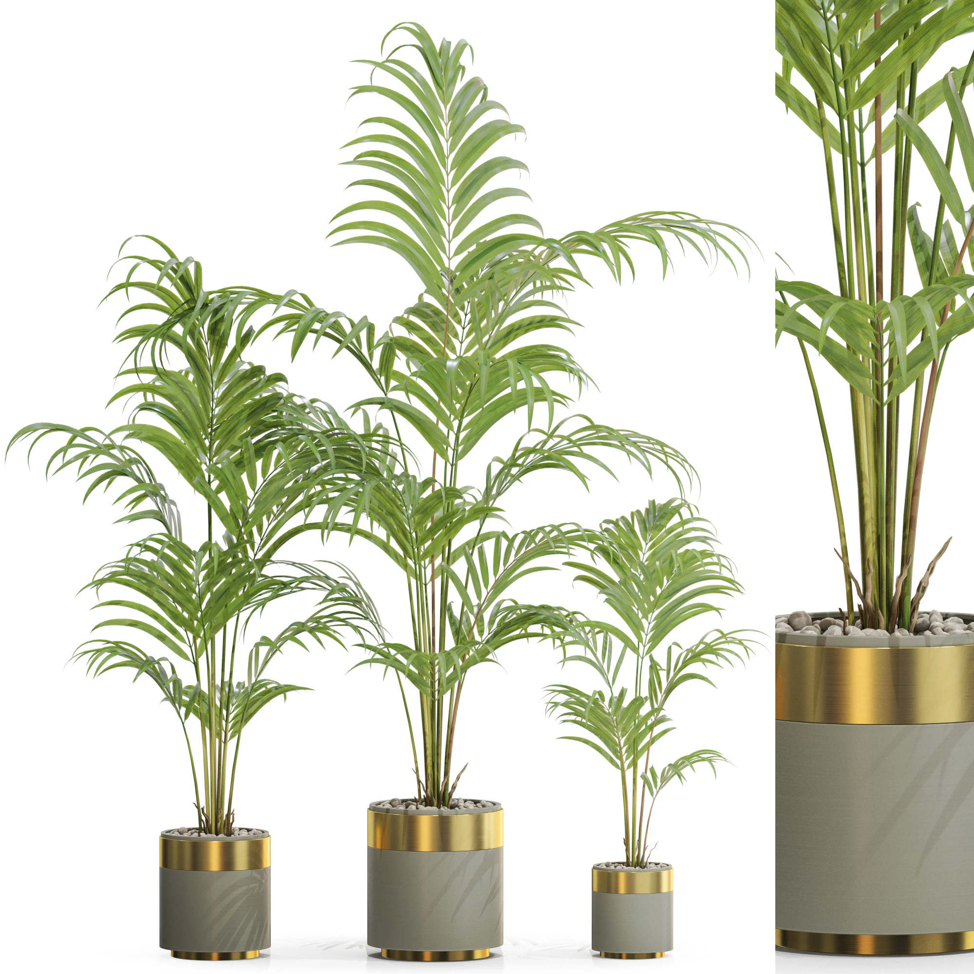 Plants collection 654 3D Model .c4d .max .obj .3ds .fbx .stl .blend 