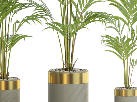 Plants collection 654 3D-Modell